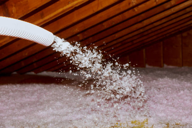 Best Insulation Repair Services  in Brewster Heights, NY