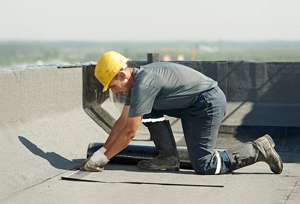 Best Crawl Space Insulation  in Brewster Heights, NY