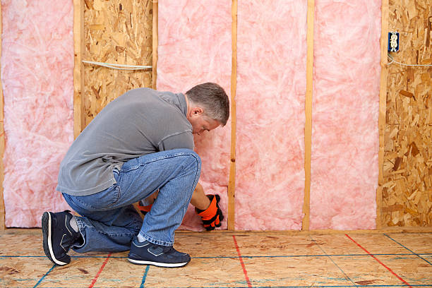 Best Residential Insulation Services  in Brewster Heights, NY